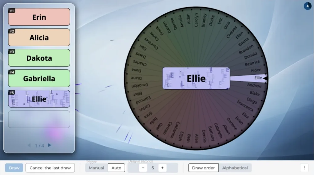 Draw and summary - wheel of names
